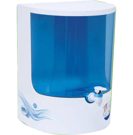 YPL DOLPHIN